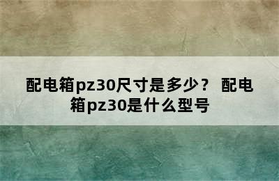 配电箱pz30尺寸是多少？ 配电箱pz30是什么型号